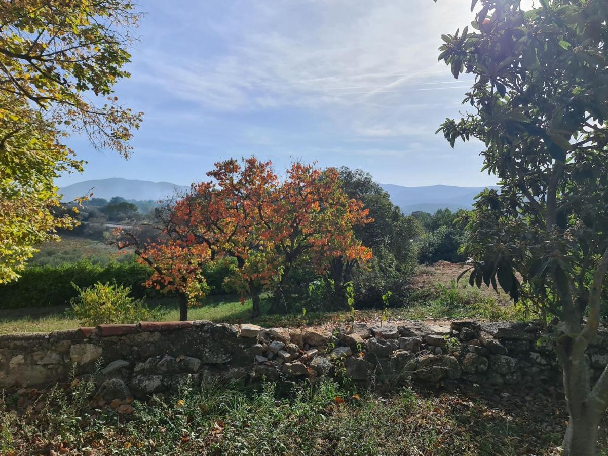 Gite Zen Carnoules  Exterior foto